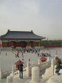 Beijing  (338)